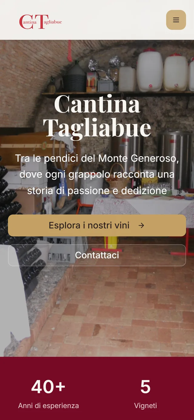 Cantina Tagliabue: the website on mobile