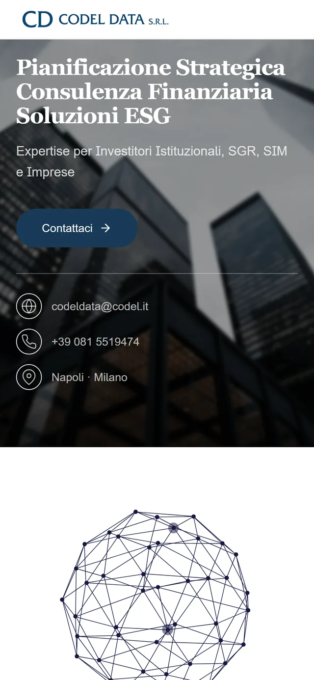 Codel Data: the website on mobile